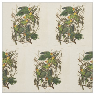 Audubon Carolina Parrot Bird illustration Fabric