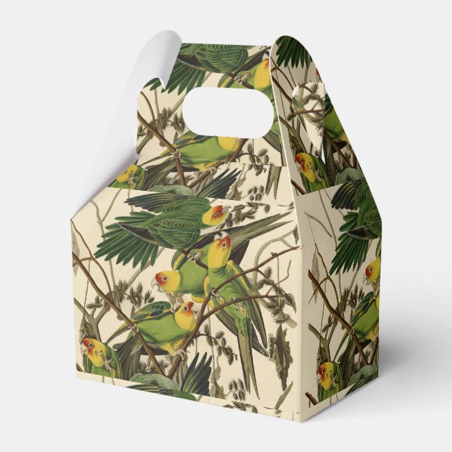 Audubon Carolina Parrot Bird illustration Favour Box (Front Side)