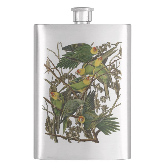 Audubon Carolina Parrot Bird illustration Hip Flask (Front)