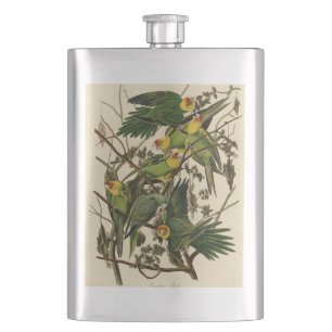 Audubon Carolina Parrot Bird illustration Hip Flask