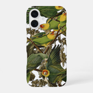Audubon Carolina Parrot Bird illustration iPhone 16 Case
