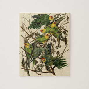 Audubon Carolina Parrot Bird illustration Jigsaw Puzzle