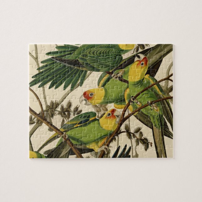 Audubon Carolina Parrot Bird illustration Jigsaw Puzzle (Horizontal)