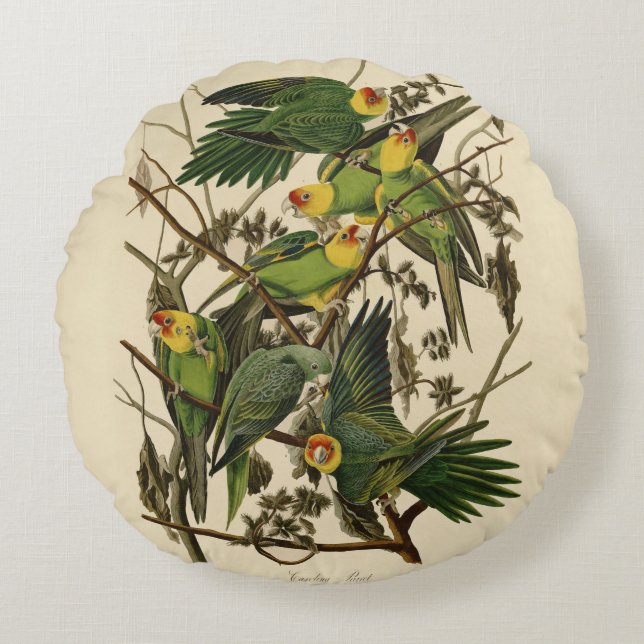 Audubon Carolina Parrot Bird illustration Round Cushion (Front)