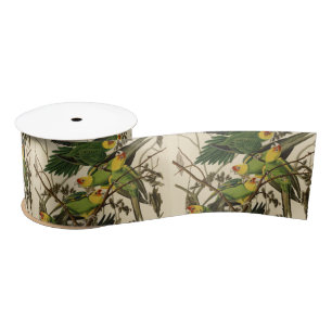 Audubon Carolina Parrot Bird illustration Satin Ribbon