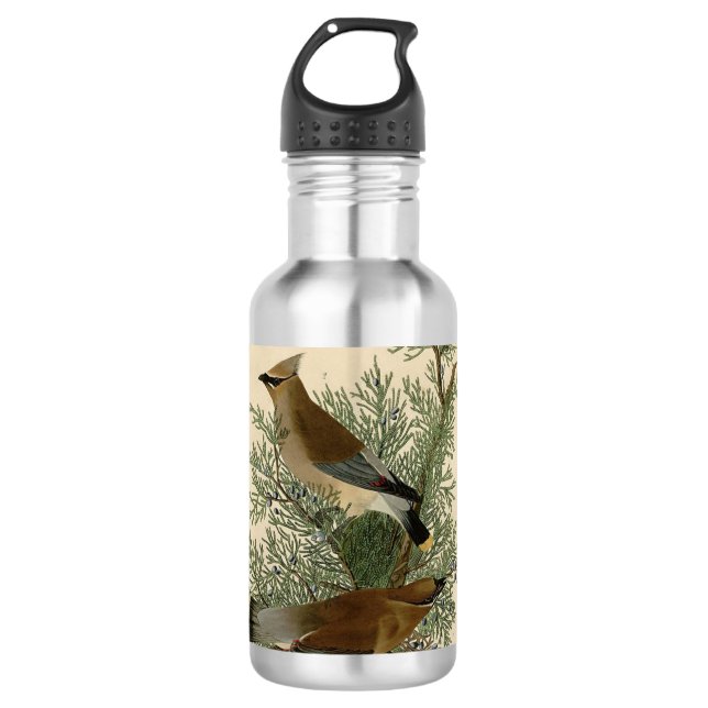 Audubon Cedar Waxwing Bird 710 Ml Water Bottle (Front)
