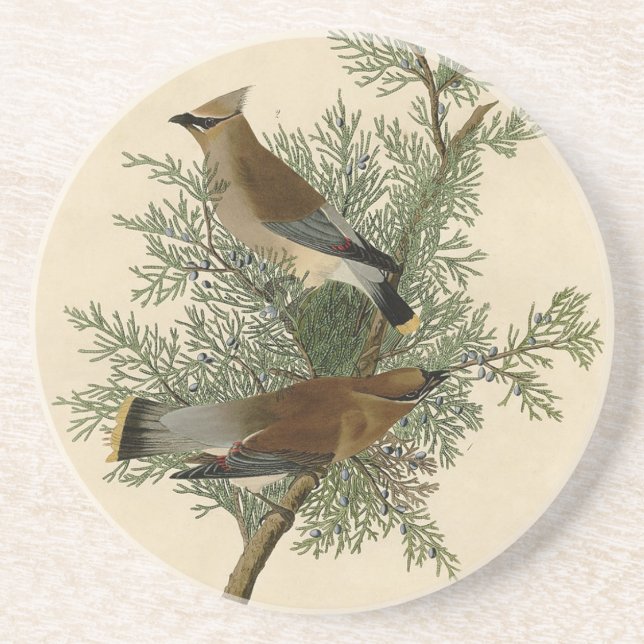 Audubon Cedar Waxwing Bird Coaster (Front)
