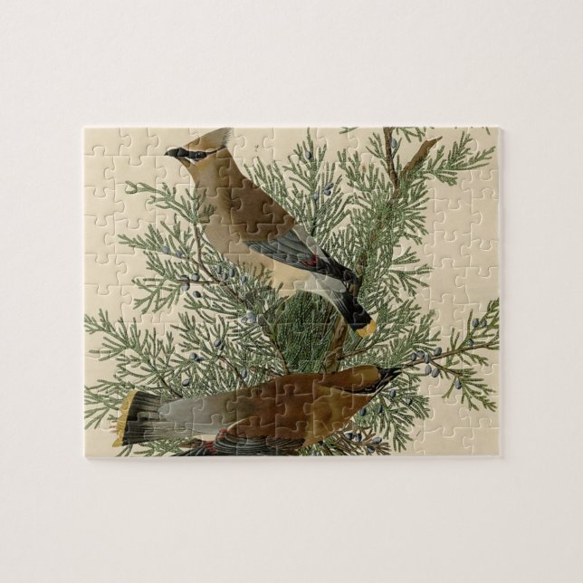 Audubon Cedar Waxwing Bird Jigsaw Puzzle (Horizontal)