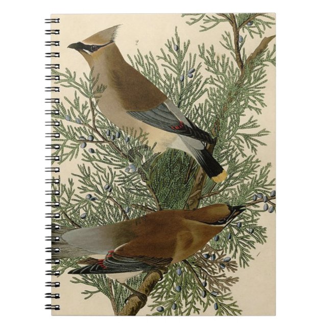 Audubon Cedar Waxwing Bird Notebook (Front)