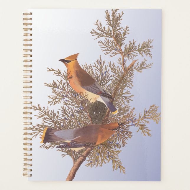 Audubon Cedar Waxwing Bird on Evergreen Juniper Planner (Front)
