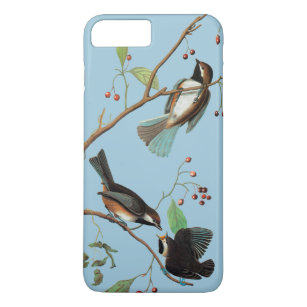 Audubon: Chickadee Case-Mate iPhone Case