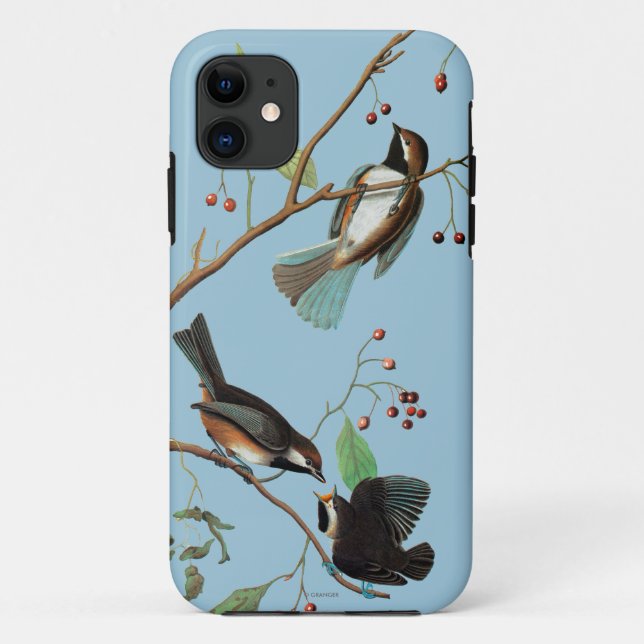 Audubon: Chickadee Case-Mate iPhone Case (Back)