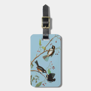 Audubon: Chickadee Luggage Tag