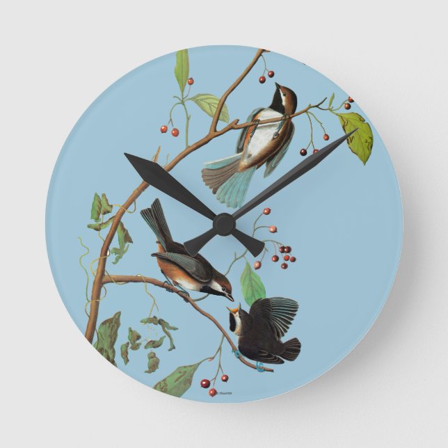 Audubon: Chickadee Round Clock (Front)