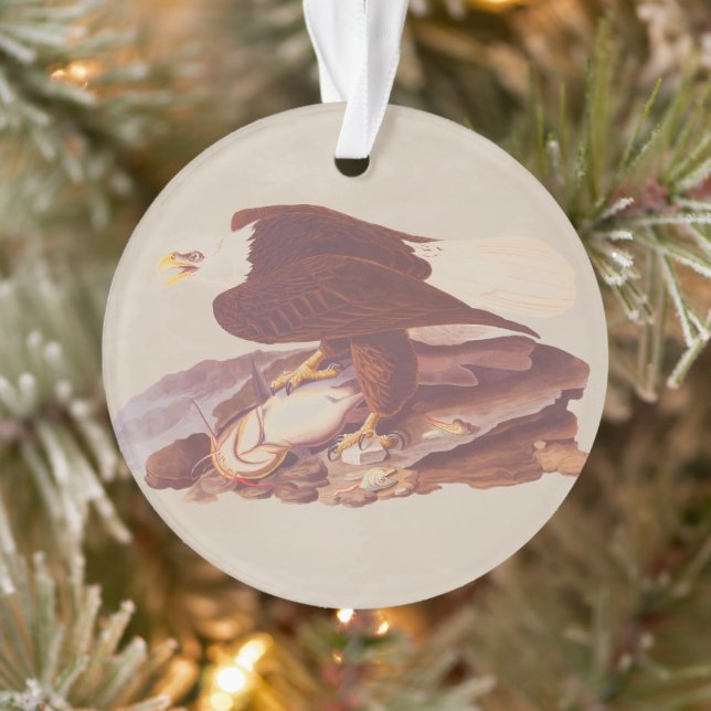 Audubon Classic Bald Eagle with Fresh Catch Fish Ornament (Tree)