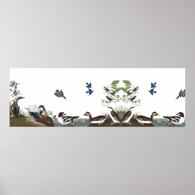 Audubon Collage Birds Animal Wildlife Poster 1 (Front)