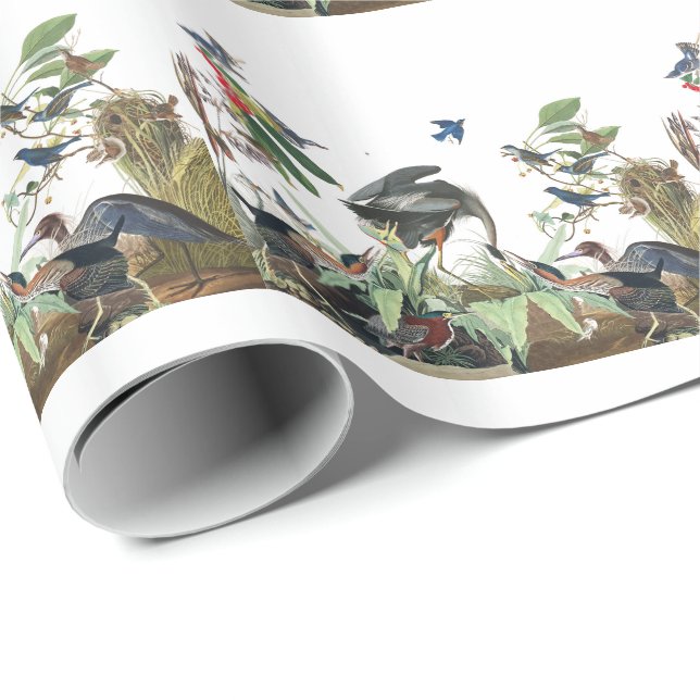 Audubon Collage Birds Wildlife Wrapping Paper (Roll Corner)