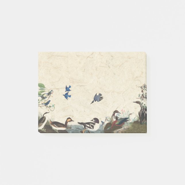 Audubon Collage of Birds Wildlife Post It Notes (Front)
