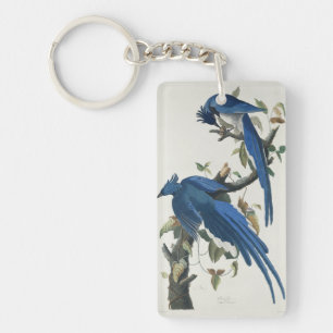 Audubon Columbia Jay Black Throated Magpie Jay Key Ring