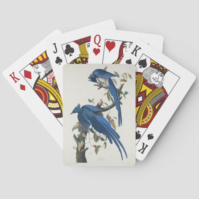 Audubon Columbia Jay Black Throated Magpie Jay Playing Cards (Back)