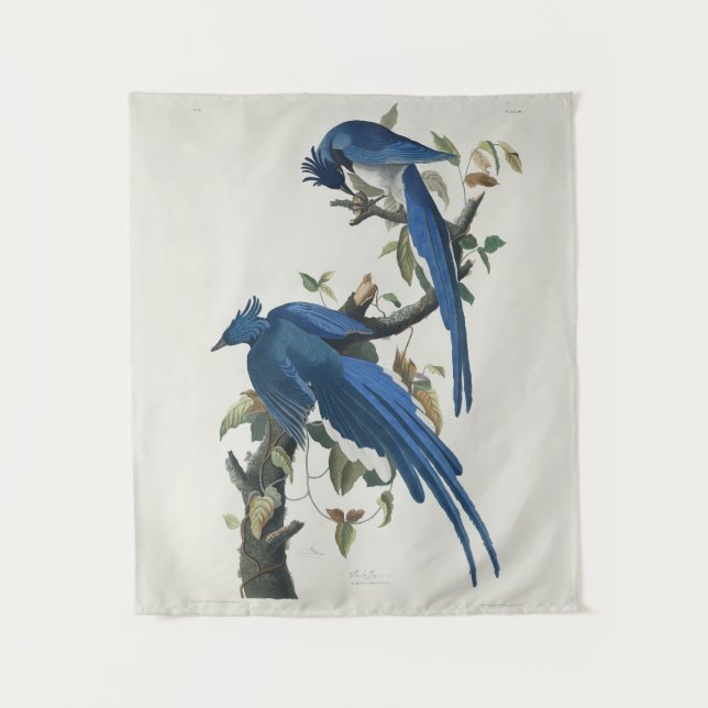 Audubon Columbia Jay Black Throated Magpie Jay Tapestry (Front)