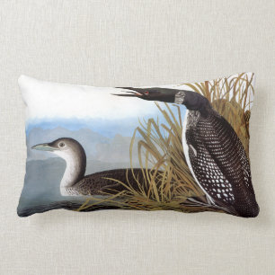Audubon: Common Loon Lumbar Cushion