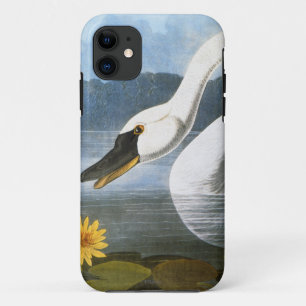 Audubon: Common Swan iPhone 11 Case