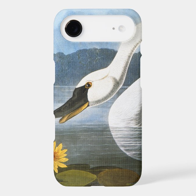 Audubon: Common Swan Case-Mate Samsung Galaxy Case (Back)