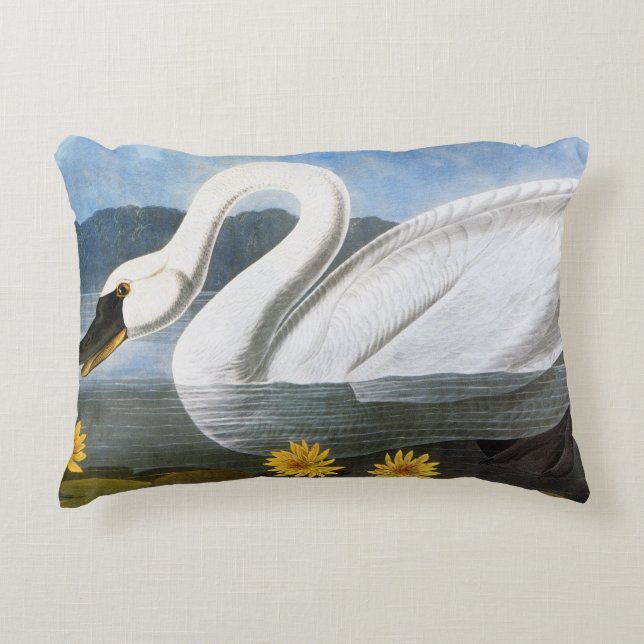 Audubon: Common Swan Decorative Cushion (Front)