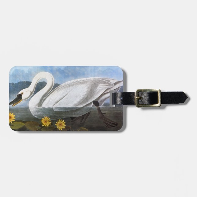 Audubon: Common Swan Luggage Tag (Front Horizontal)