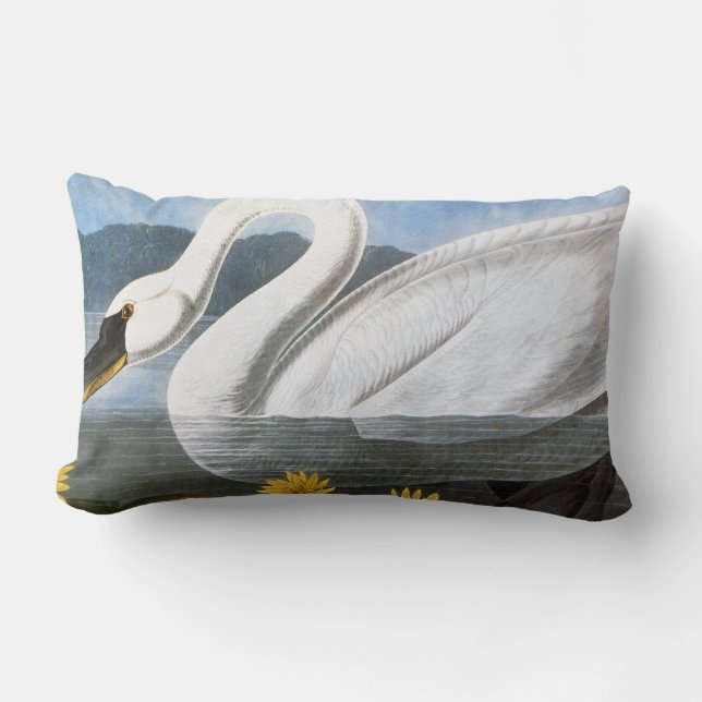 Audubon: Common Swan Lumbar Cushion (Front)