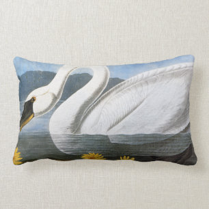 Audubon: Common Swan Lumbar Cushion