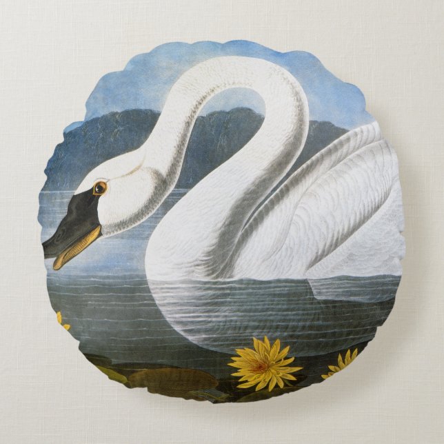 Audubon: Common Swan Round Cushion (Front)