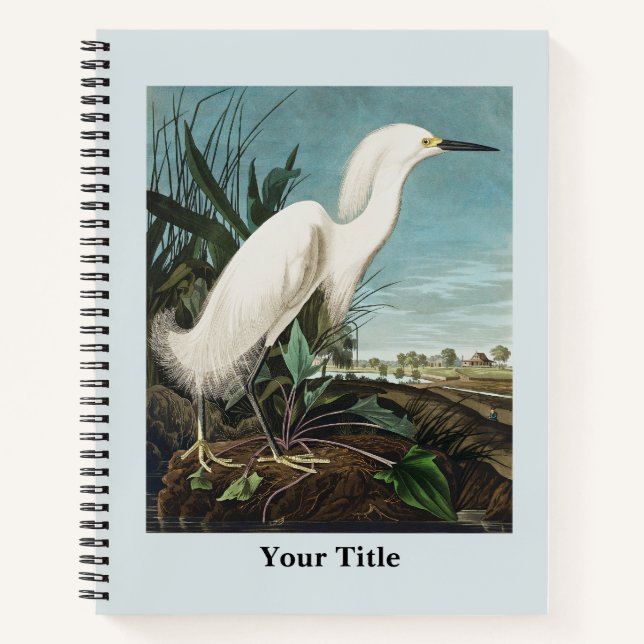 Audubon Crane Historical Wildlife Drawing Notebook (Front)