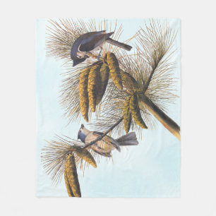 Audubon Crested Titmouse Birds in Pine Tree Fleece Blanket