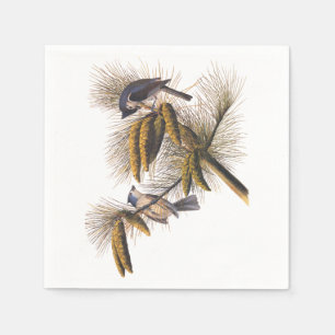 Audubon Crested Titmouse Cocktail Napkins