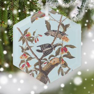 Audubon Downy Woodpecker Couple with Flowers Glass Tree Decoration