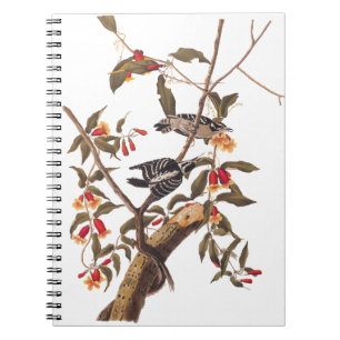 Audubon Downy Woodpecker Couple with Flowers Notebook