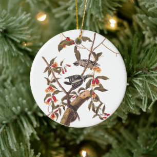Audubon Downy Woodpecker Pair Ceramic Tree Decoration
