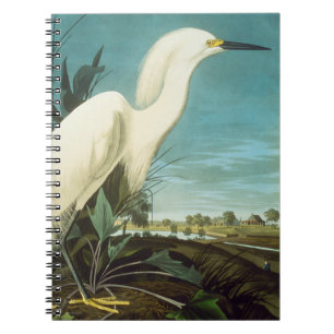 Audubon: Egret Notebook