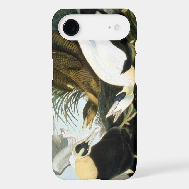 Audubon: Eider Duck Case-Mate Samsung Galaxy Case (Back)