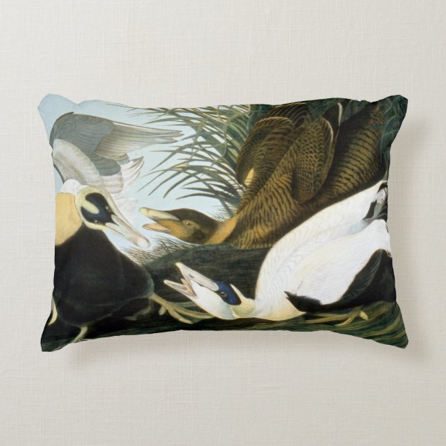 Audubon: Eider Duck Decorative Cushion (Front)