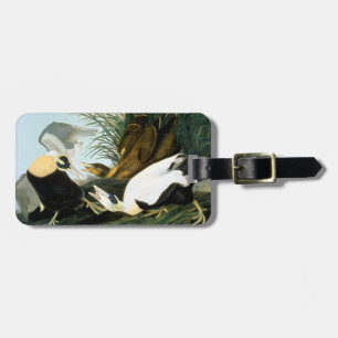 Audubon: Eider Duck Luggage Tag