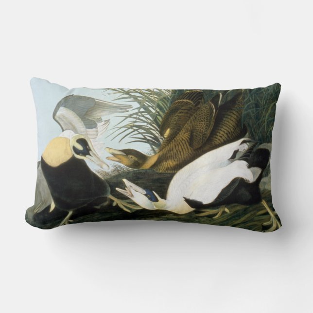 Audubon: Eider Duck Lumbar Cushion (Front)