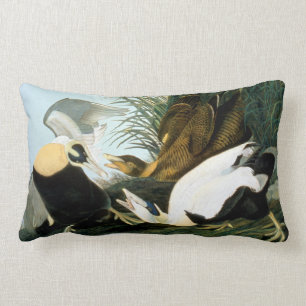 Audubon: Eider Duck Lumbar Cushion