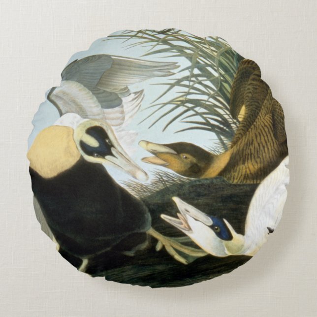 Audubon: Eider Duck Round Cushion (Front)