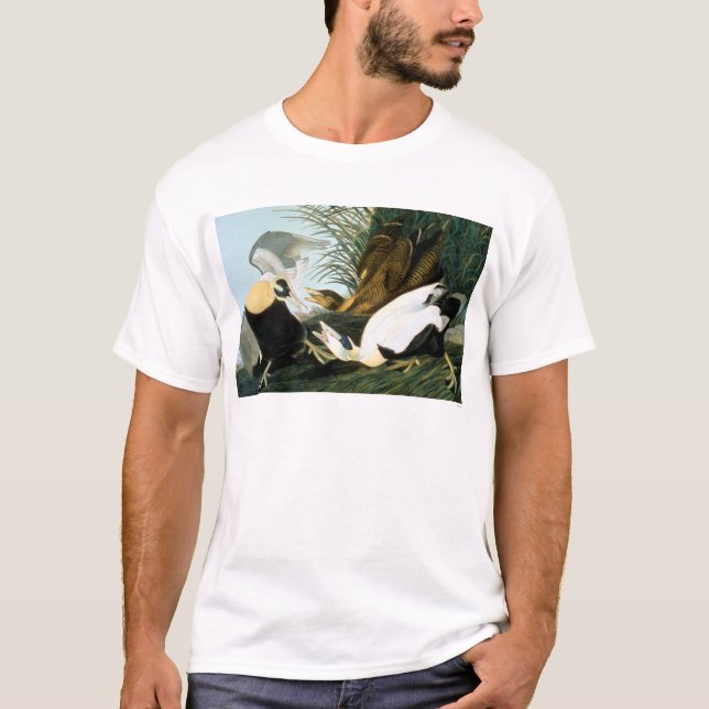 Audubon: Eider Duck T-Shirt (Front)