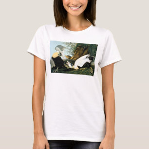 Audubon: Eider Duck T-Shirt