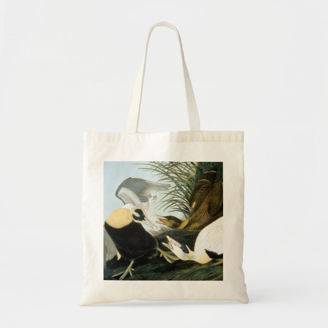 Audubon: Eider Duck Tote Bag (Front)