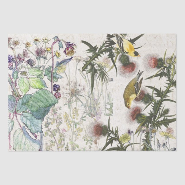 Audubon Finch Birds Wildflowers Tissue Paper (Front)